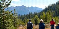 Volunteers planting trees in a forest restoration effort.